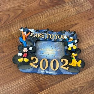 3x5 Disney world frame never used